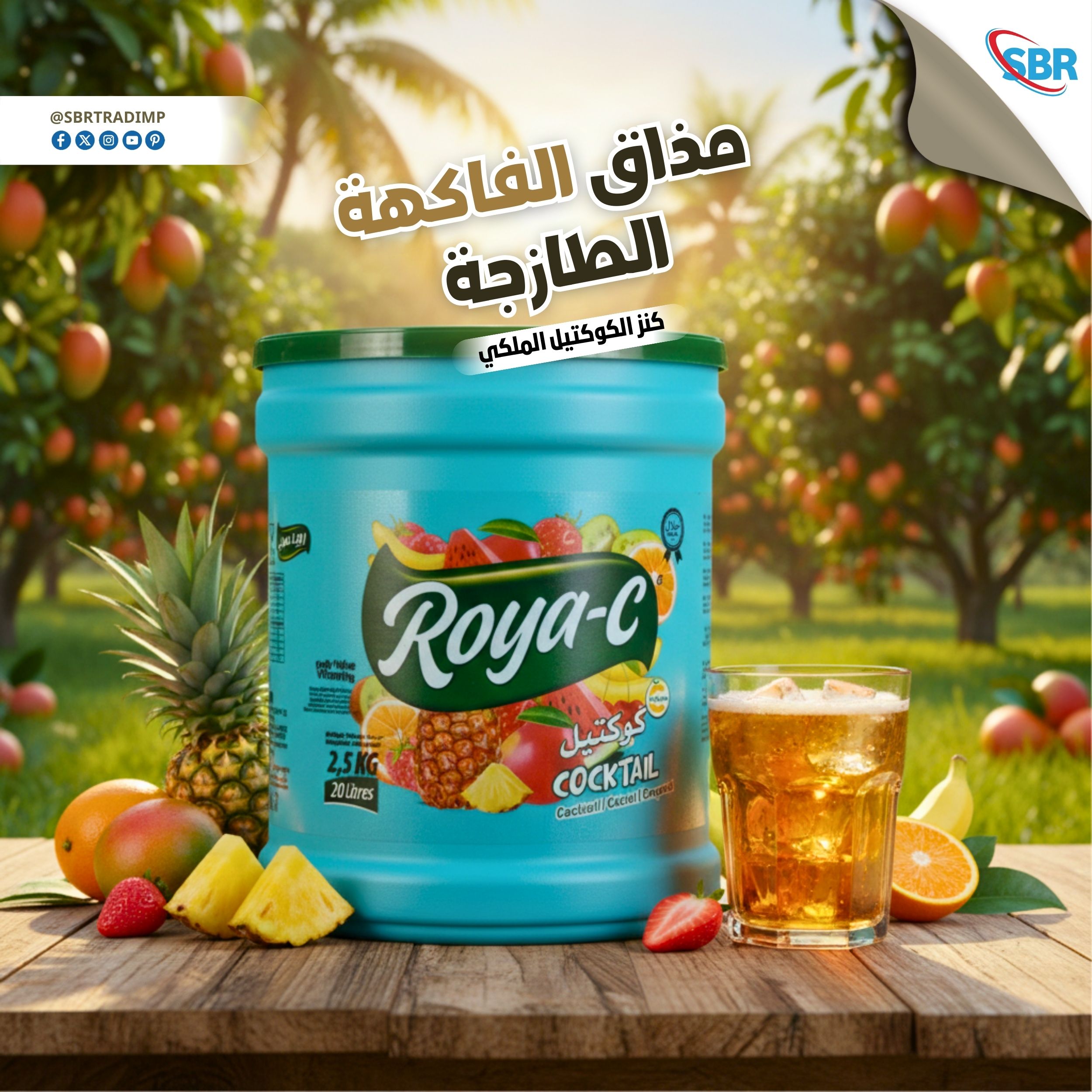 عصير رويا سي Roya- C -  شراب منعش بفضل تركيبته المتوازنة وطعمه اللذيذ يتميز بنكهة طبيعية ومنعشة ترضي جم